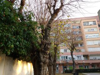 Apartamento Ecuador - Cádiz - 9