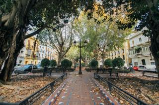 Plaza del Buen Suceso ( Wifi, terraza, Parking ) - Sevilla - 8