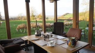 Highfield - Hay-on-Wye - 6