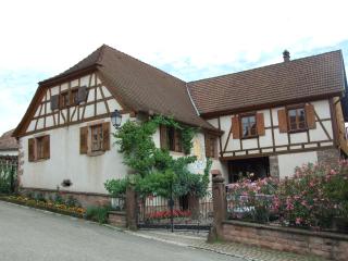 Gîte "AU CADRAN SOLAIRE" - Triembach-au-Val - 0