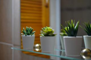 Apartamento Yeray - Los Llanos de Aridane - 2