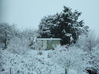 Abbey Farm Glamping & Cottage - Thame - 2