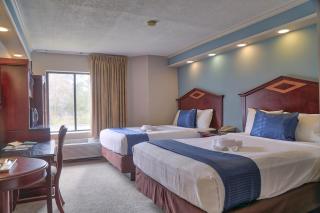 Destiny Palms Hotel Maingate West - Kissimmee - 9