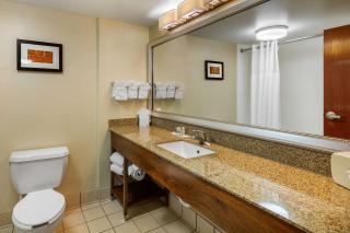 Comfort Suites Manassas Battlefield Park - Manassas - 4