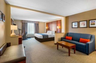 Comfort Suites Manassas Battlefield Park - Manassas - 7