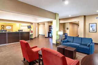 Comfort Suites NW Dallas Near Love Field - Dallas - 2