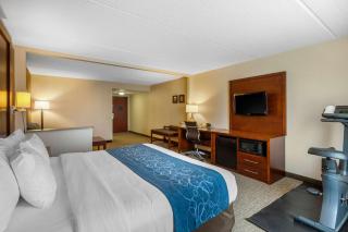 Comfort Suites Manassas Battlefield Park - Manassas - 5