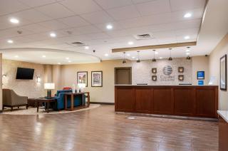 Comfort Inn & Suites At Copeland Tower - Metairie - 7