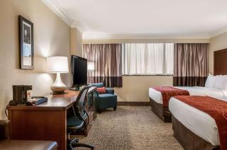 Comfort Inn & Suites At Copeland Tower - Metairie - 4