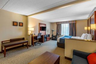 Comfort Suites Manassas Battlefield Park - Manassas - 6