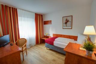 Hotel Leo Mühlhausen - Mühlhausen - 4