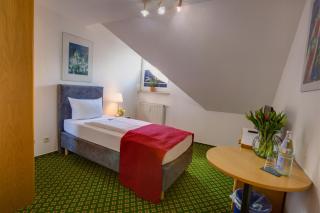 Hotel Leo Mühlhausen - Mühlhausen - 1