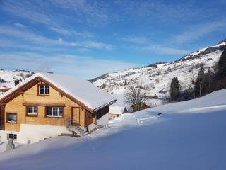 Ferien im Gugger - Nesslau - 9