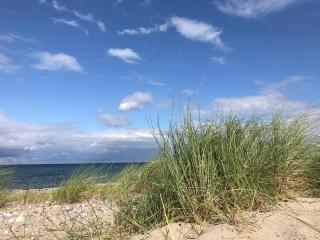 Ferienhof Utech - Wenkendorf auf Fehmarn - 4