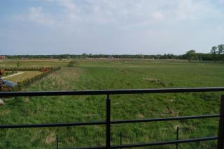 Stelle Apartments - 4