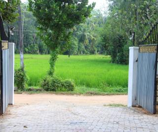 Midigama Home Stay Rooms - 4