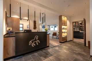 Panorama Apart Weisses Rössl - 9