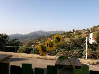 Les Lupins - Geishouse - 2