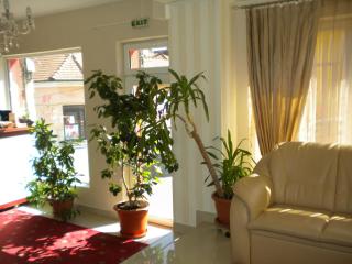 Hotel Ary - Cluj-Napoca - 9