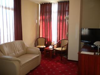 Hotel Ary - Cluj-Napoca - 0