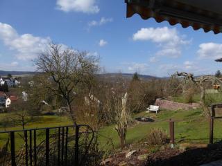 Ferienwohnung Dora 2 - Michelstadt - 2