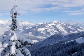 Breitenhof - Haus Breiten - 6