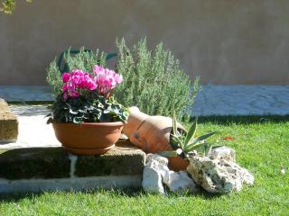 B&B Silent Valley - Ripatransone - 4