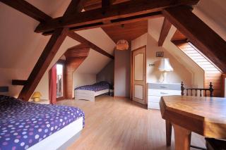 GITE DU FLORIMONT CENTRE ALSACE route des vins - Ingersheim - 2