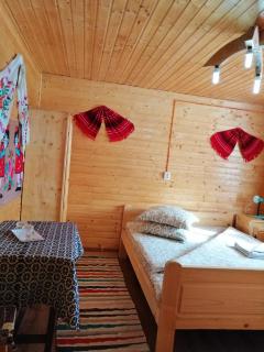 Cabana Ghetari - Gheţari - 2