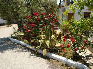 Asteris Village - Gerakini - 2