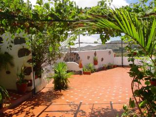 Casa Rural Guiniguada - Santa Brígida - 3