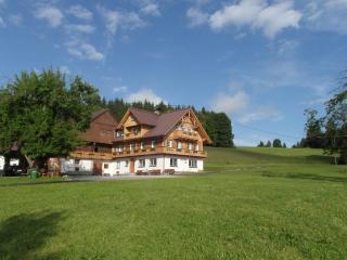 Haslehnerhof - Ramsau am Dachstein - 9