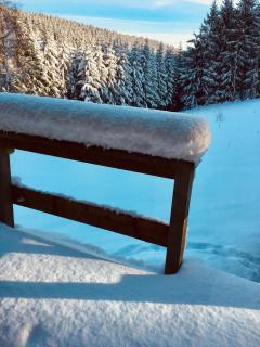 Chalet Le Forestier - 7