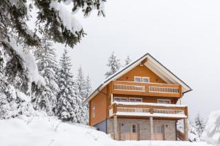 Holiday Home Kuća za odmor LEA - Ravna Gora - 9