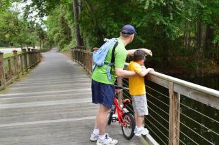 The Cottage on Park - Hilton Head Island - 5