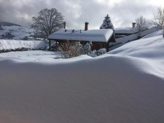 Les Bruyeres wi fi - La Bresse - 4