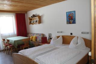 otto steiner appartements pension ellmau & wilder kaiser - Ellmau - 5