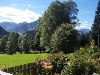 Ferienhof Beim Kemptar - Bad Hindelang - 2