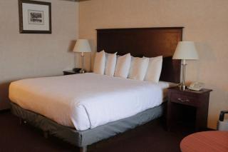 Shiretown Inn & Suites - Houlton - 5
