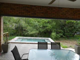 BUFFALO - Marloth Park - 3