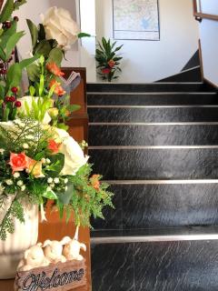 Nono teru Narita - Narita - 1