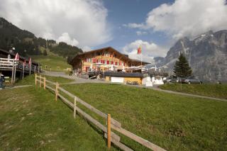 Alpinhotel Bort - Grindelwald - 8