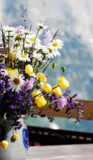 Alpinhotel Bort - Grindelwald - 6