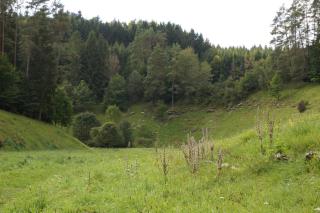 FEWO Geisbergblick - 2