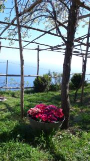 Ancient Medieval Chapel - Amalfi - 5