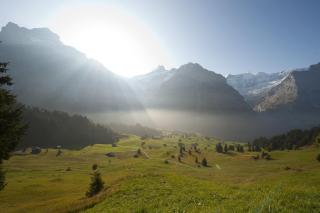 Alpinhotel Bort - Grindelwald - 5