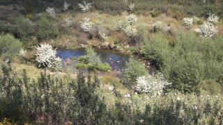 REFÚGIO DO RAPOSO/CASA DA RIBEIRA (AGROTURISMO) - Proença-a-Nova - 5