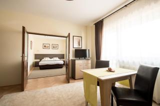 Vila Nicopole Art & Wine - Brasov - 9