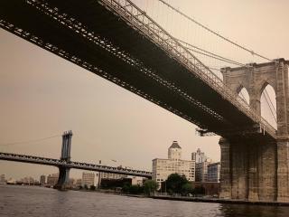 Red Carpet Inn Elmwood - 1