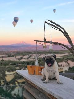 Wish Cappadocia & Love - Uçhisar - 9